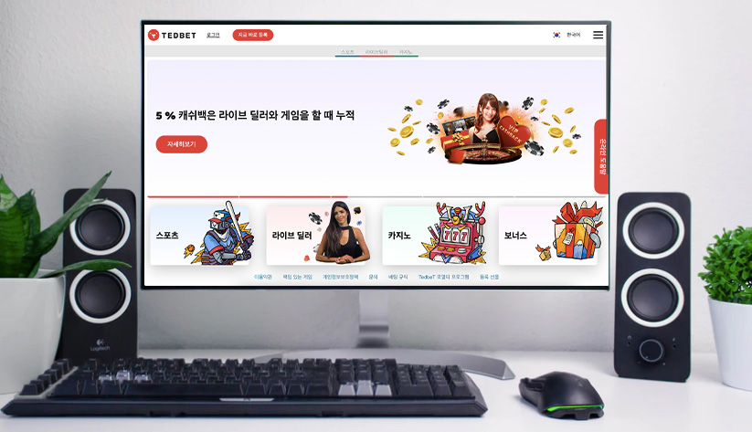 TedBet (테드벳) 카지노